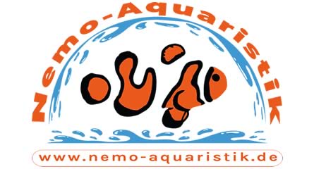 Shop für Meeresaquaristik 5 Nemo-Aquaristik Clownfischzucht Deutschland